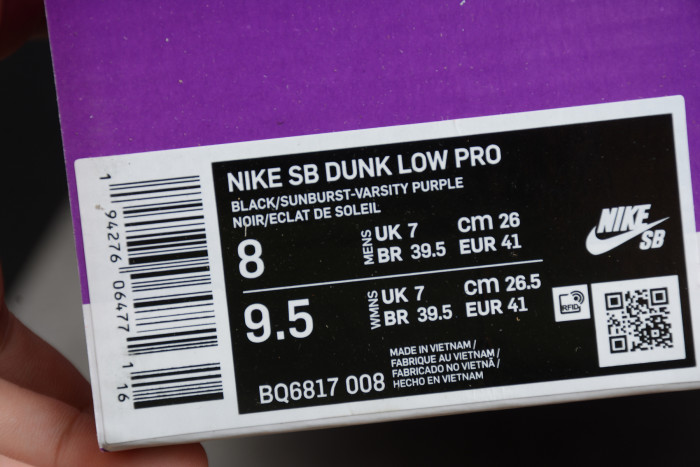 NIKE SB DUNK LOW “ACG TERRA” BQ6817-008